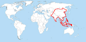 map of Asia